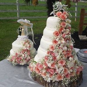 Meet your Posher, Mel